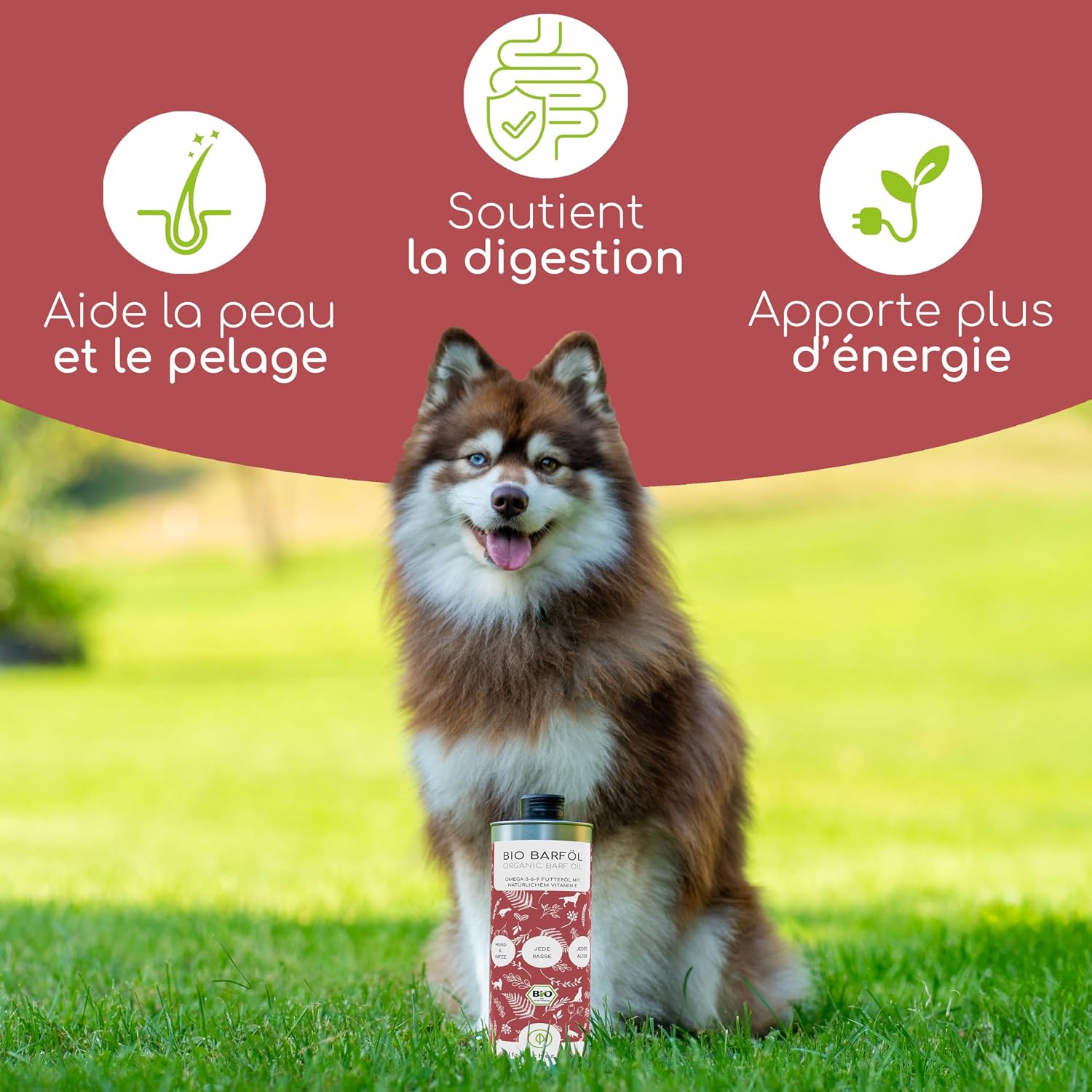 Huile Alimentaire Chiens 1L – 100% Bio Barf - Naturelle & Végétalienne - Lin, Onagre, Olive, Courge, Chia - Oméga 3-6-9, DE-ÖKO-060 1000ml