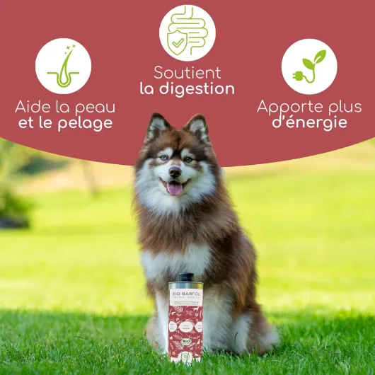 Huile Alimentaire Chiens 1L – 100% Bio Barf - Naturelle & Végétalienne - Lin, Onagre, Olive, Courge, Chia - Oméga 3-6-9, DE-ÖKO-060 1000ml