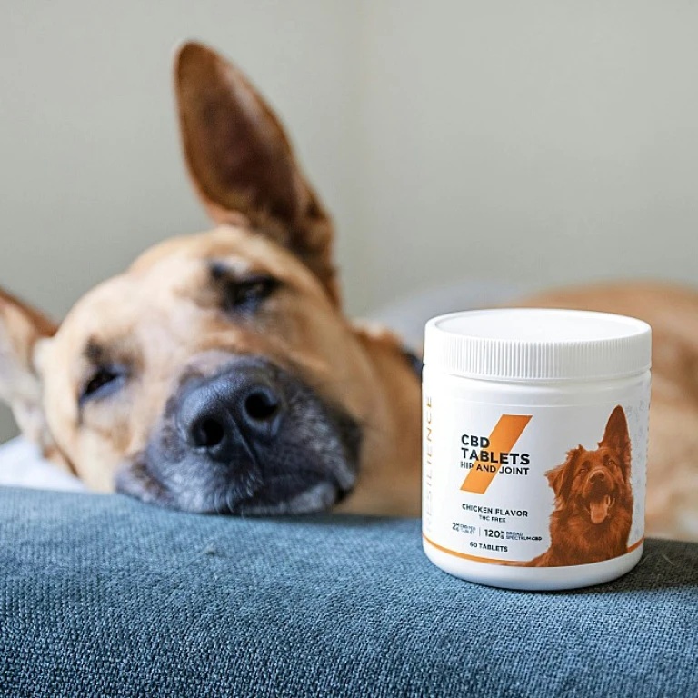 Un jouet pour chien vraiment résistant
