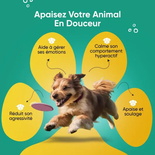 Calmant pour Chiens - 120 Gélules Naturelles Anti Stress Chien, Apaise Stress Anxiété Angoisse - Relaxation avec Ashwagandha, Passiflore, Vitamine B1, L-Taurine, Magnésium, Mélisse - sans Somnolence