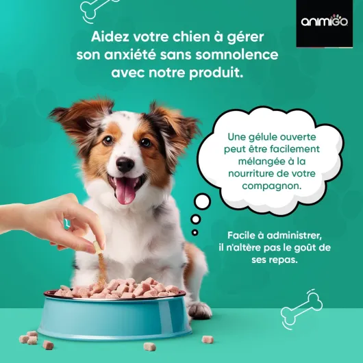 71ZhpIdcs6L._AC_SL1500_