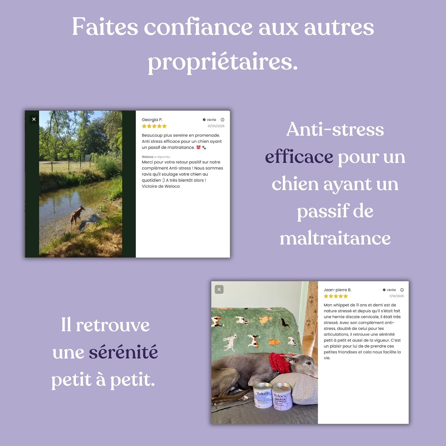 Anti-Stress Chien - 13 Actifs puissants naturels - Calmant pour Chiens stressés, anxieux, réactifs, Chiens hyperactifs - 120 bouchées apaisantes savoureuses - Complément Alimentaire Chien