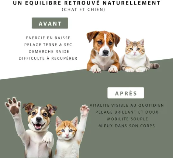 71X4CB9fXSL._AC_SL1500_