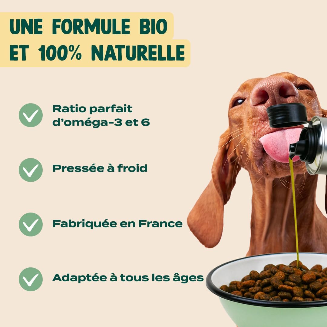 Huile de Chanvre pour Chien – 100% Naturelle – Graines Pressée à Froid – Riche en Oméga 3 & 6 – Doseur Intégré – Fabriqué en France – 250 ML