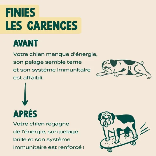 61JJP A5SJL._AC_SL1080_