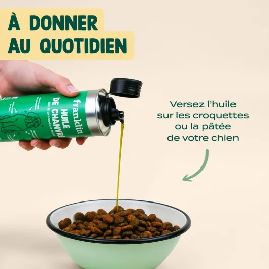 61Xt-y3NEOL._AC_SL1080_