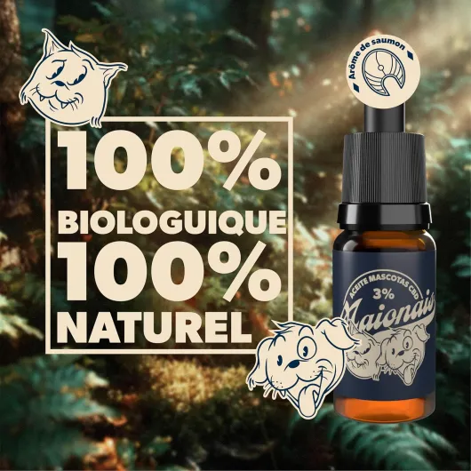 91G3MEs7IFL._AC_SL1500_