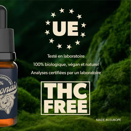 91l93ojiZVL._AC_SL1500_