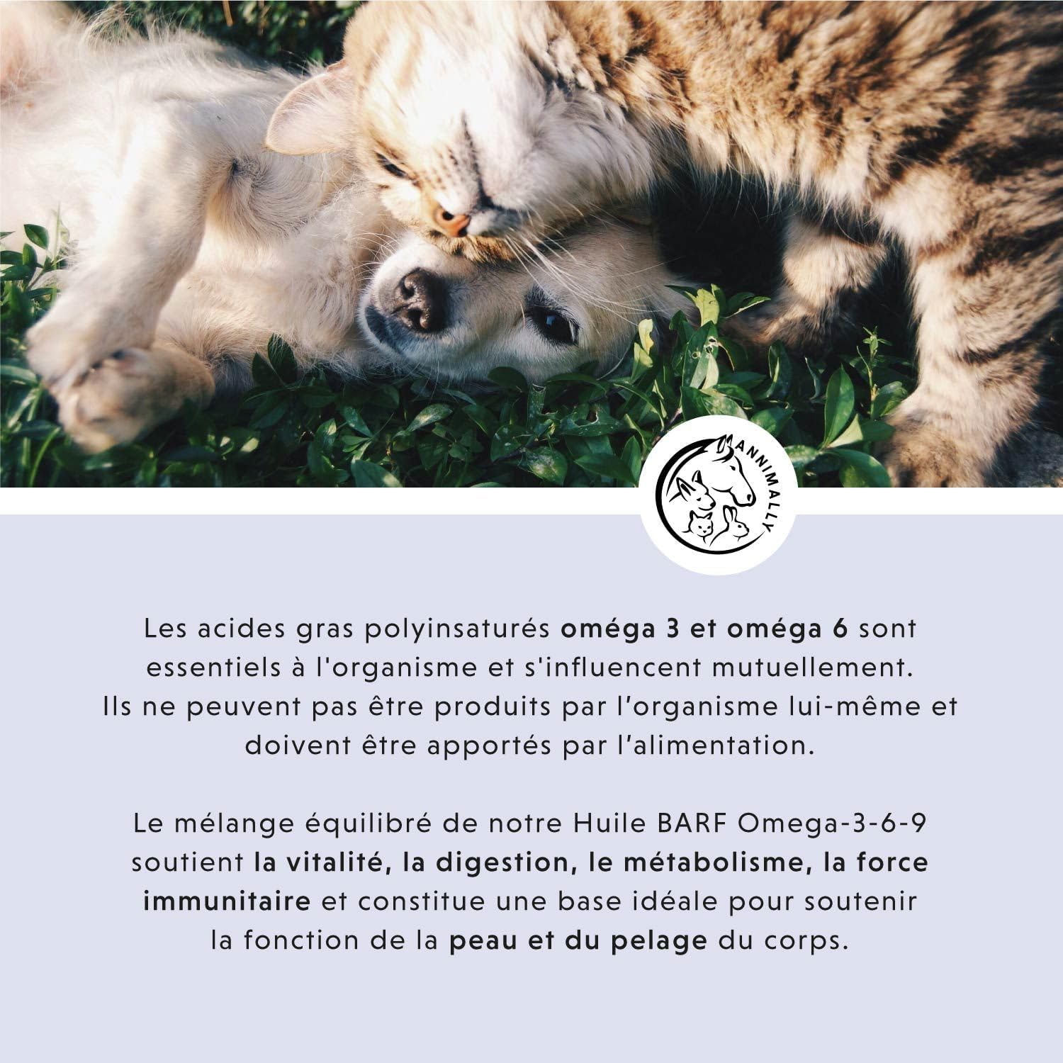Huile BARF pour chiens 500ml Huile Barf avec Omega 3-6-9 à partir de: huile de saumon, huile de colza, huile de chanvre et huile de bourrache - huile alimentaire pour chien comme garniture alimentaire