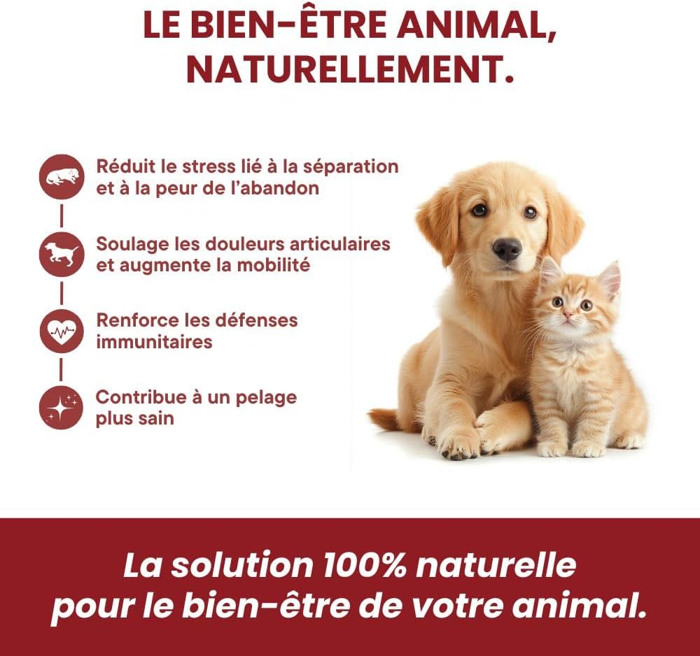 Pharma Care CBD - Huile MCT Coco 4% pour Chiens 5-10kg - Saveur Bacon