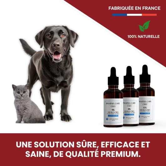 61JroE3UnYL._AC_SL1000_