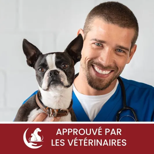 61j2rOdk0zL._AC_SL1000_