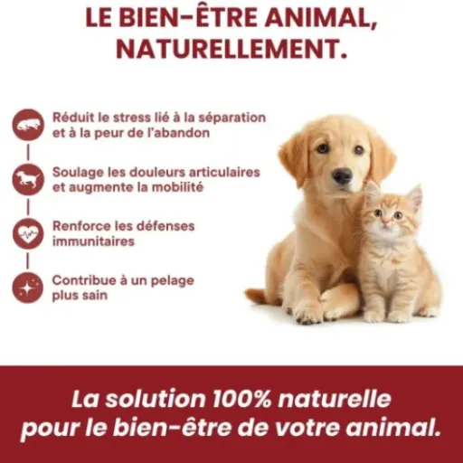 Test Pharma Care CBD Huile MCT Coco 4% pour Chiens : une aide pour les toutous stressés, mais pas miraculeuse