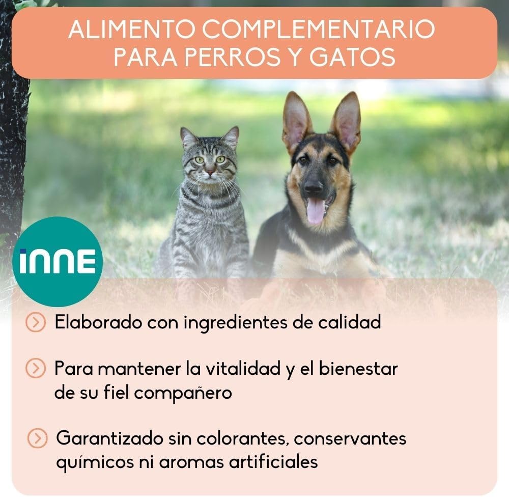 Aliment Complémentaire - Chiens & Chats - Huile de Saumon - Riche en Omegas 3 et 6 - Flacon-Pompe 1L 1 l (Lot de 1)