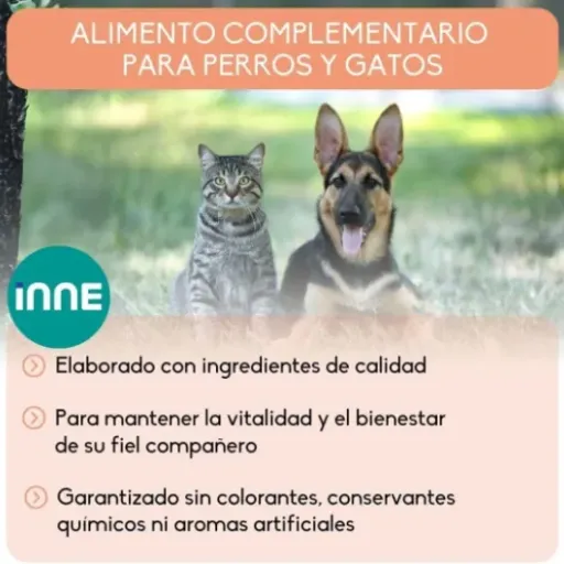 Test Nutrivet Huile de Saumon 1L : l’appoint oméga 3/6 qui fait le job sans ruiner
