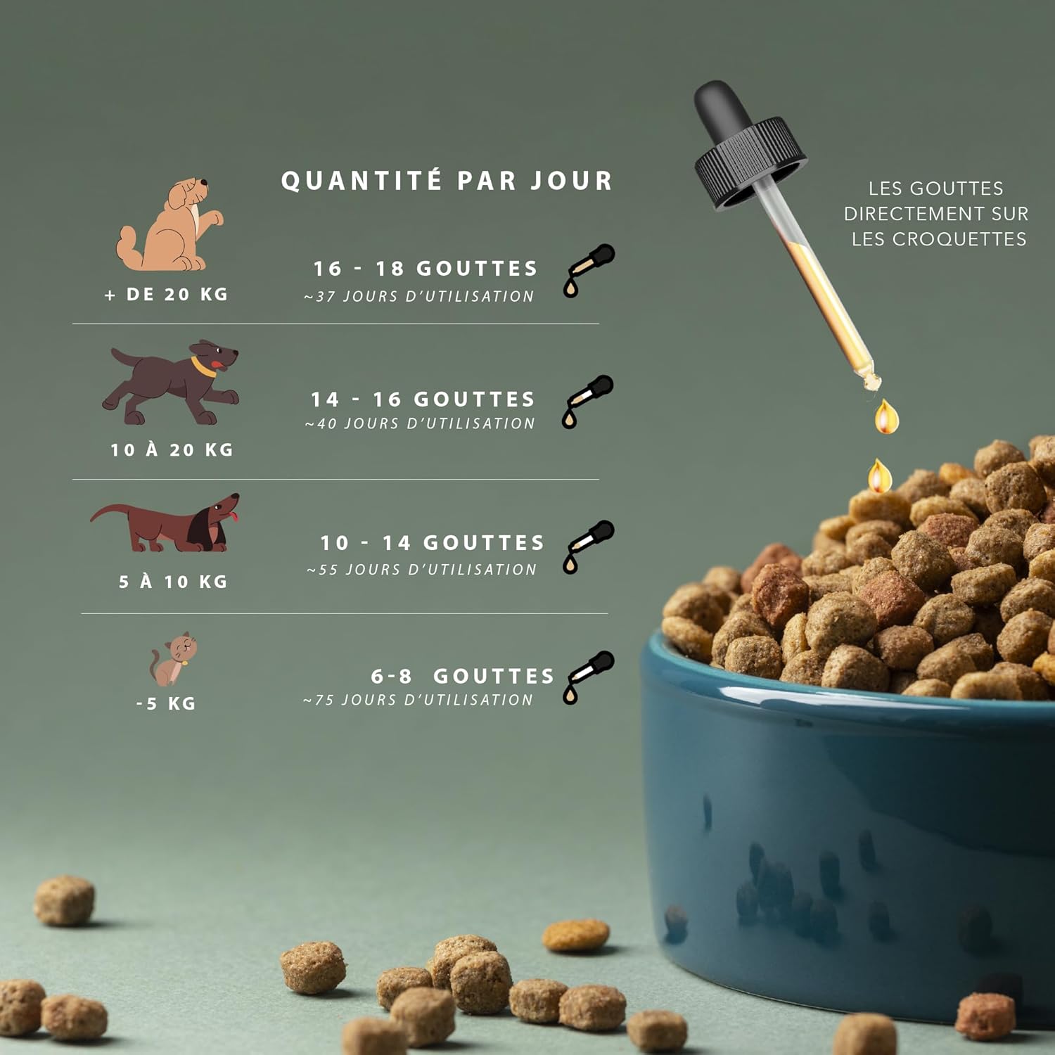 Huile de Graines de Chanvre pour Chiens & Chats Adultes – Goût Bœuf – Oméga 3-6-9 – Vitamine E – Pipette – 30 ML – Fabriqué en France Bœuf 30 ml