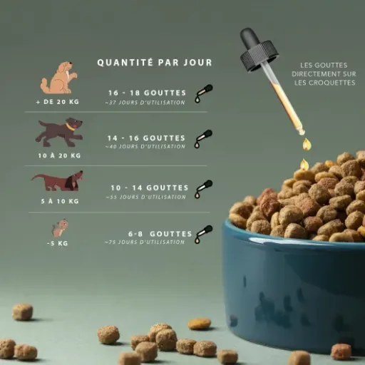 Test Thilife Huile de Graines de Chanvre goût bœuf : une petite aide pour apaiser et soulager, sans miracle